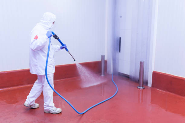 Paint Preparation in Charleston, SC